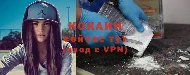 блэк спрут вход  Новоалександровск  Cocaine FishScale 